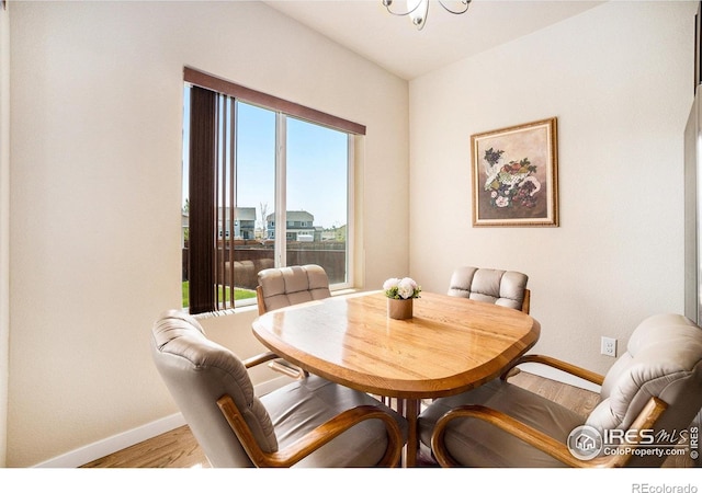 1888 Vista Plaza St, Severance, CO 80550