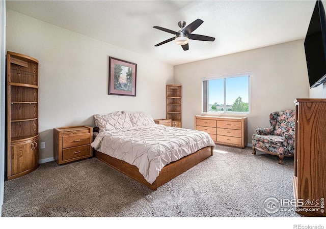 1888 Vista Plaza St, Severance, CO 80550