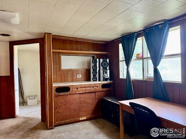 230 W Chase St, Haxtun, CO 80731 - home office with wooden walls and light carpet