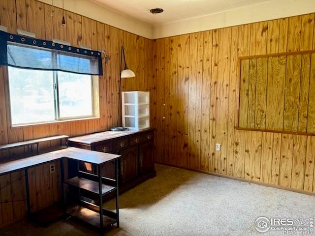230 W Chase St, Haxtun, CO 80731 - kitchen with wood walls and dark carpet