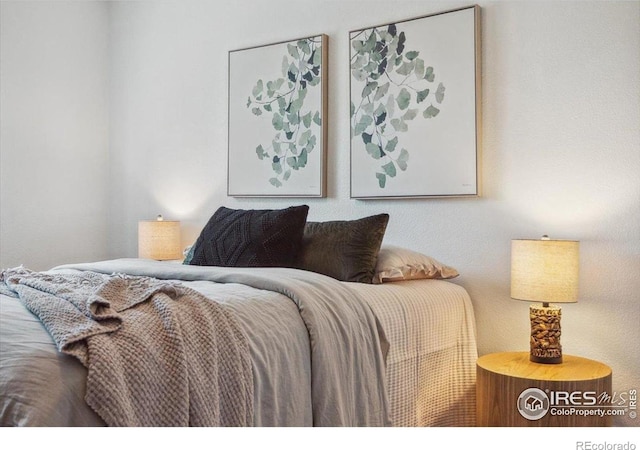 7726 Kit Fox Dr, Wellington, CO 80549 - view of bedroom