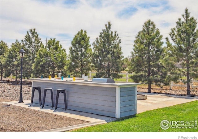 7726 Kit Fox Dr, Wellington, CO 80549 - view of outdoor structure featuring exterior kitchen