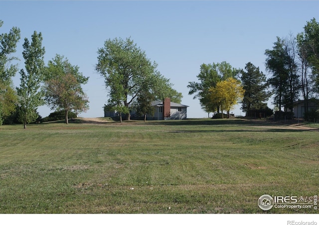 6363 County Road 20, Longmont, CO 80504 - view of yard