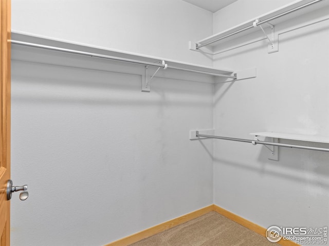 865 Crabapple Ln, Estes Park, CO 80517 - spacious closet with carpet