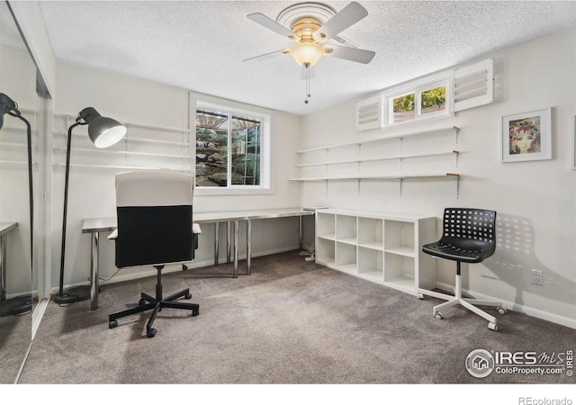 2001 James Dr, Loveland, CO 80538 - office featuring plenty of natural light, carpet, a textured ceiling, ceiling fan, and baseboards