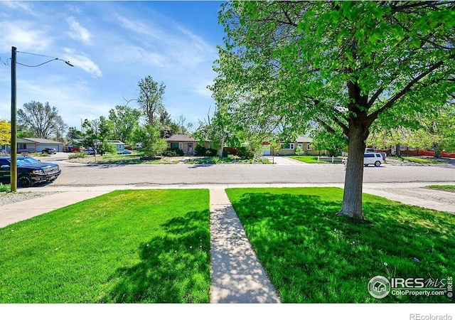 view of grassy yard