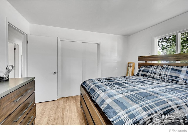 bedroom featuring light wood-style flooring and a closet