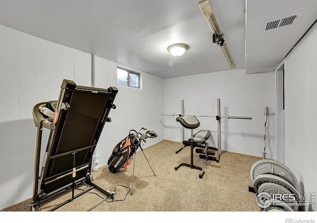 workout room featuring carpet floors