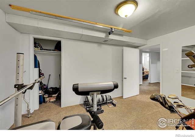 workout room featuring carpet floors