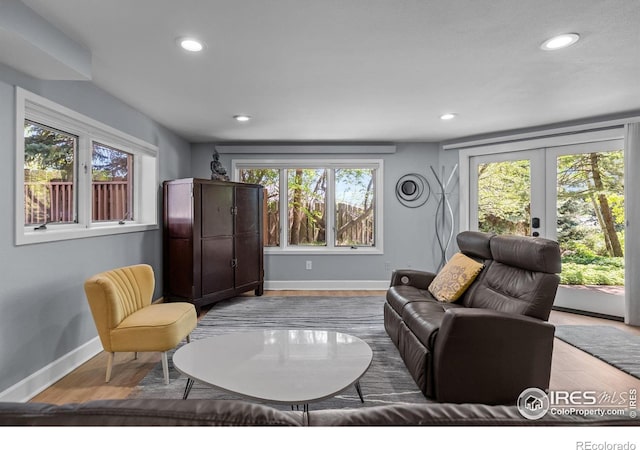 living area featuring baseboards, recessed lighting, wood finished floors, and french doors