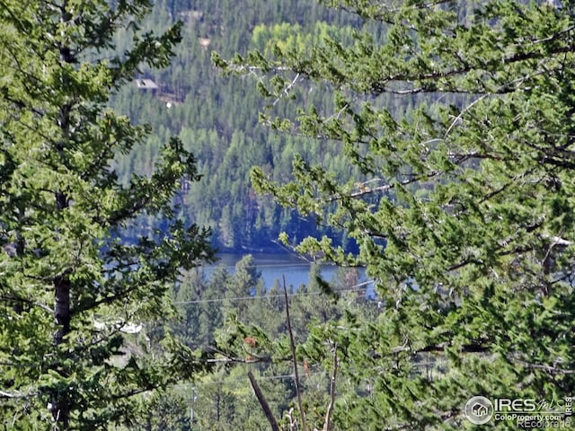 203 Mattapony Way, Red Feather Lakes, CO 80545