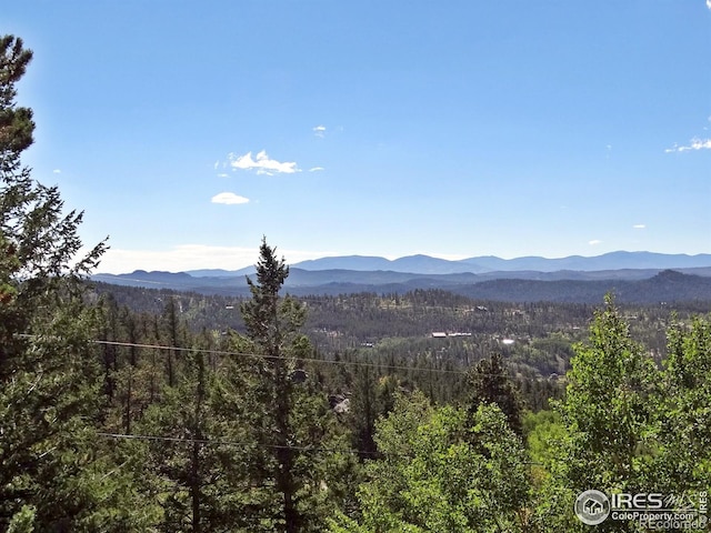 203 Mattapony Way, Red Feather Lakes, CO 80545
