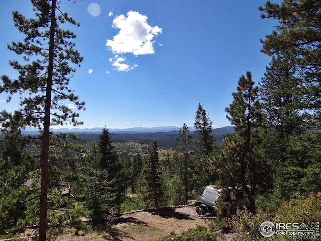 203 Mattapony Way, Red Feather Lakes, CO 80545
