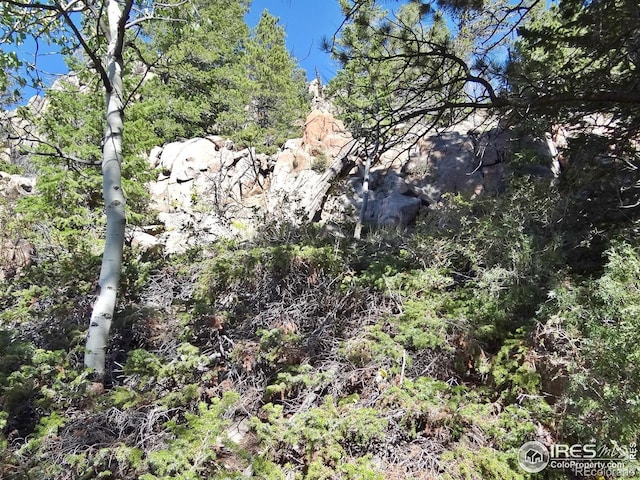 203 Mattapony Way, Red Feather Lakes, CO 80545