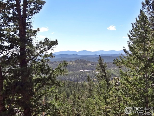 203 Mattapony Way, Red Feather Lakes, CO 80545