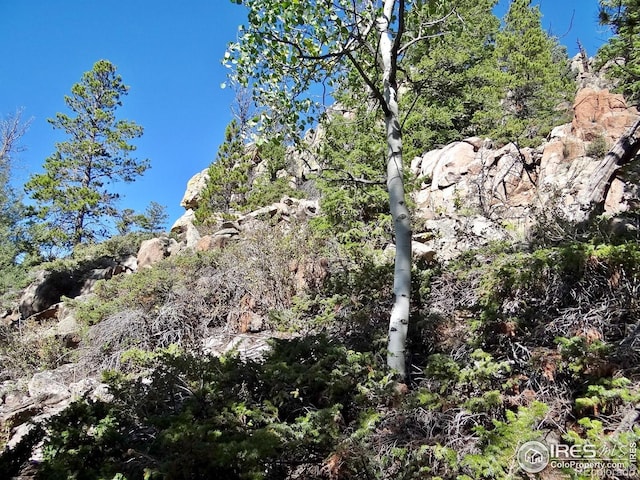 203 Mattapony Way, Red Feather Lakes, CO 80545