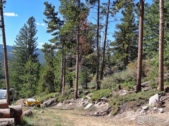 203 Mattapony Way, Red Feather Lakes, CO 80545