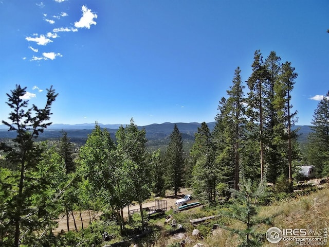 203 Mattapony Way, Red Feather Lakes, CO 80545
