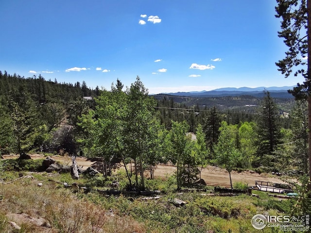 203 Mattapony Way, Red Feather Lakes, CO 80545