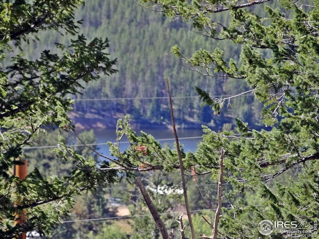 203 Mattapony Way, Red Feather Lakes, CO 80545