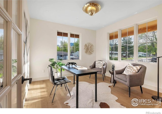 office featuring plenty of natural light, wood finished floors, and baseboards