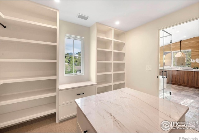 view of spacious closet