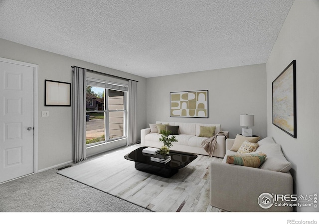 1201 Stein St, Lafayette, CO 80026 - living area featuring a textured ceiling, baseboards, and carpet floors