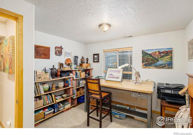 5049 W 2nd Street Rd, Greeley, CO 80634 - office space with carpet floors and a textured ceiling