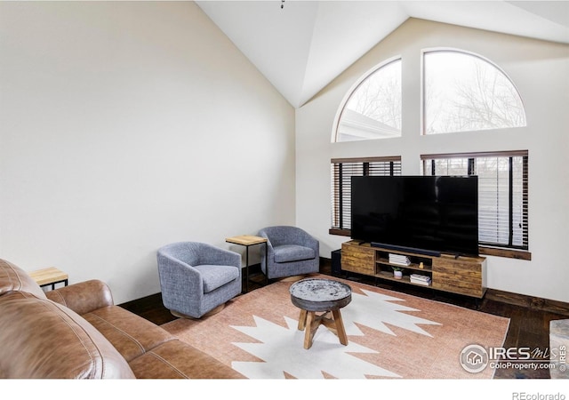 living room featuring wood finished floors and high vaulted ceiling