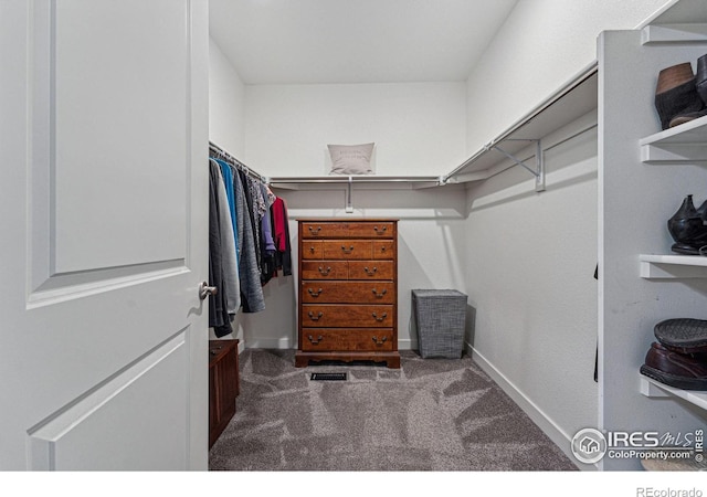 spacious closet with carpet flooring