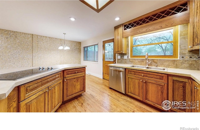 8351 Ralph Ln, Denver, CO 80221 - kitchen with dishwasher, black electric cooktop, light wood-style floors, a sink, and light countertops