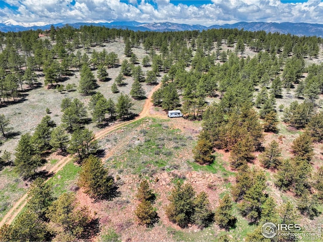 101 Lewis Ln, Longmont, CO 80503