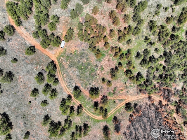 101 Lewis Ln, Longmont, CO 80503