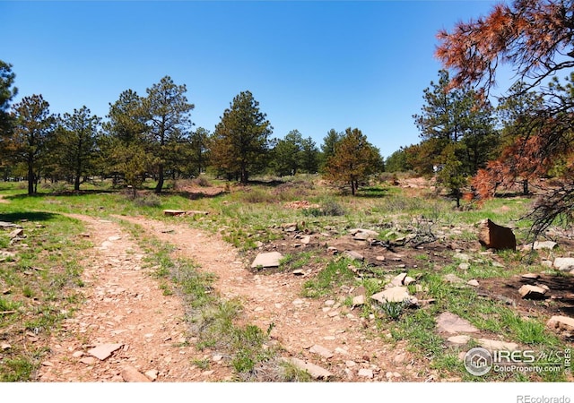 101 Lewis Ln, Longmont, CO 80503