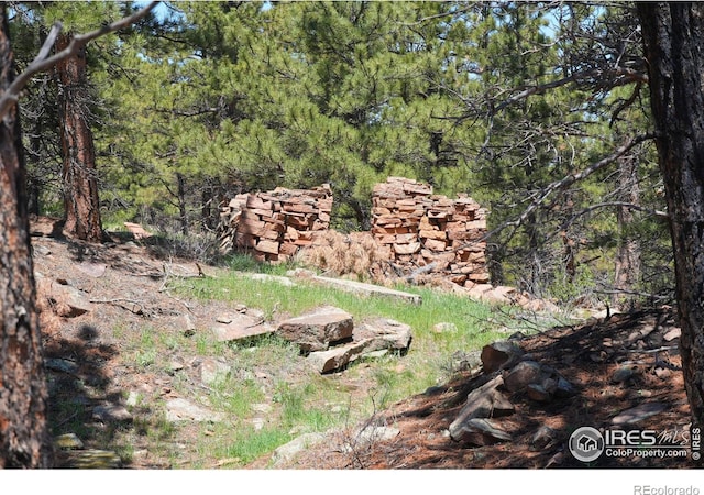 101 Lewis Ln, Longmont, CO 80503