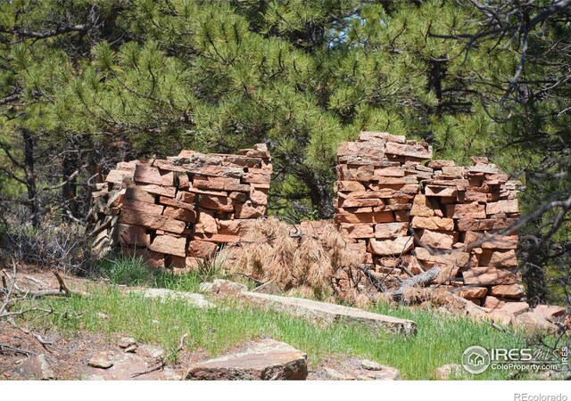 101 Lewis Ln, Longmont, CO 80503
