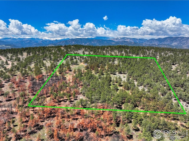 101 Lewis Ln, Longmont, CO 80503