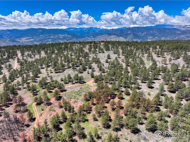 101 Lewis Ln, Longmont, CO 80503