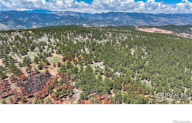 101 Lewis Ln, Longmont, CO 80503