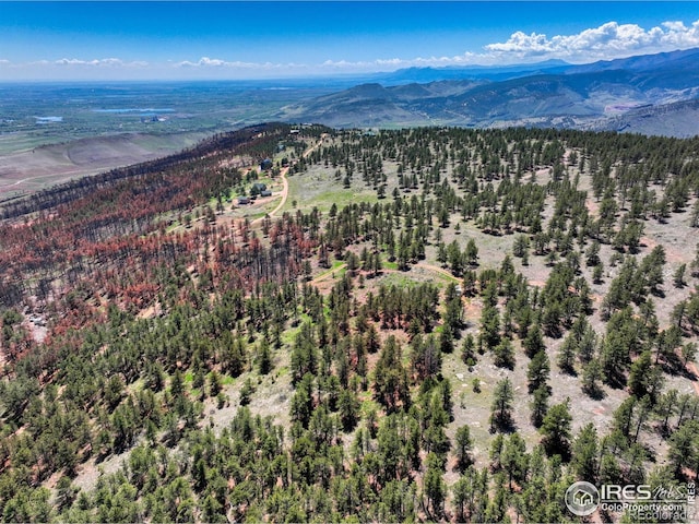 101 Lewis Ln, Longmont, CO 80503