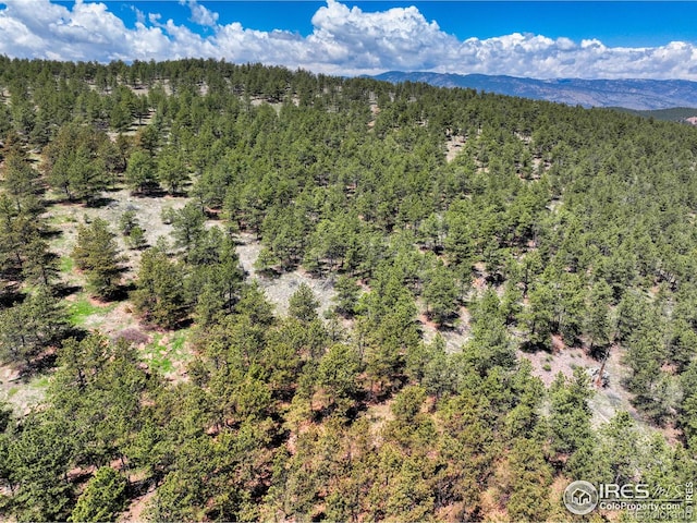 101 Lewis Ln, Longmont, CO 80503