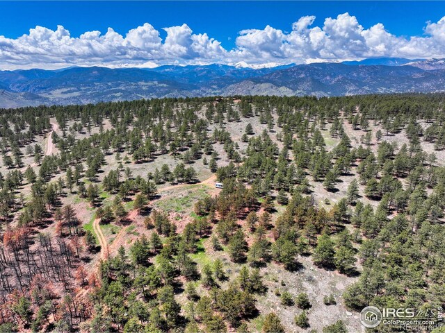 101 Lewis Ln, Longmont, CO 80503