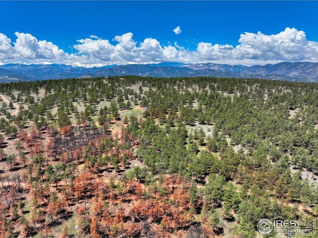 101 Lewis Ln, Longmont, CO 80503