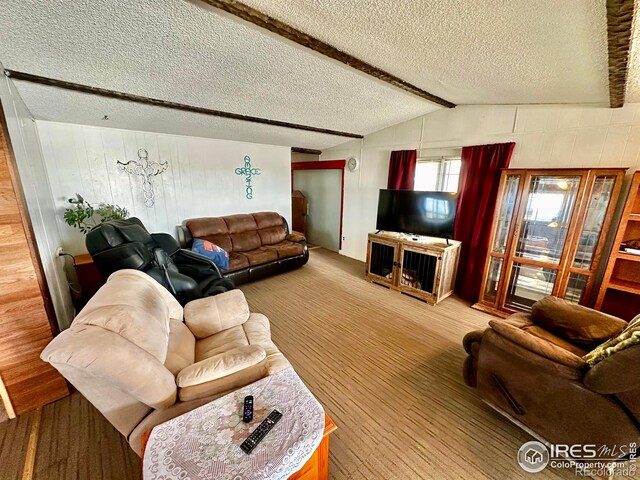 45908 County Road 39, Otis, CO 80743 - living room with wood walls, a textured ceiling, and light wood-style floors