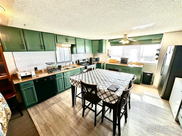 45908 County Road 39, Otis, CO 80743 - kitchen featuring green cabinetry, stainless steel appliances, a sink, a textured ceiling, and light wood-style flooring