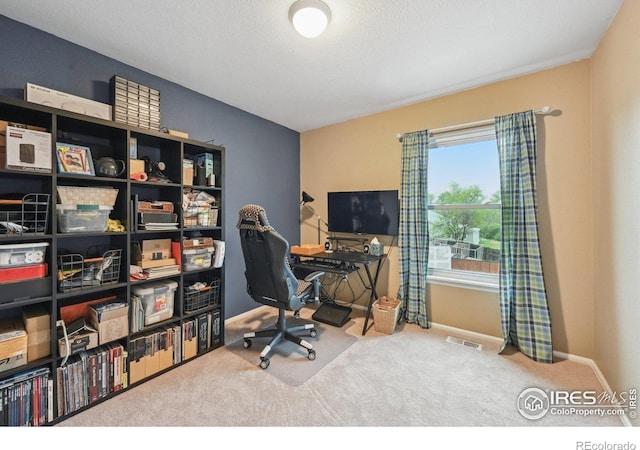 13106 Elizabeth St, Thornton, CO 80241 - office area featuring carpet flooring and baseboards