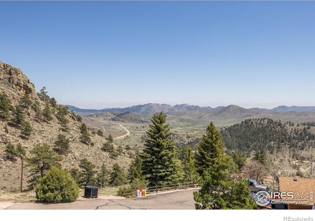 117 Mount Sherman Ct, Livermore, CO 80536 - mountain view