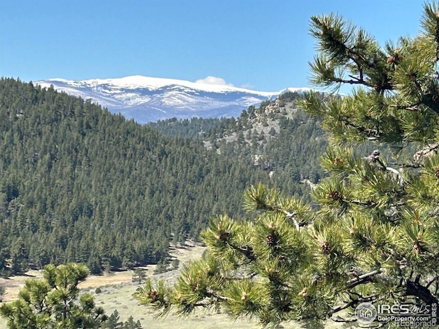 117 Mount Sherman Ct, Livermore, CO 80536 - view of mountain background with a heavily wooded area