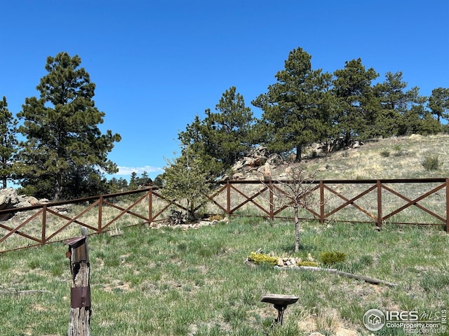 117 Mount Sherman Ct, Livermore, CO 80536 - view of yard