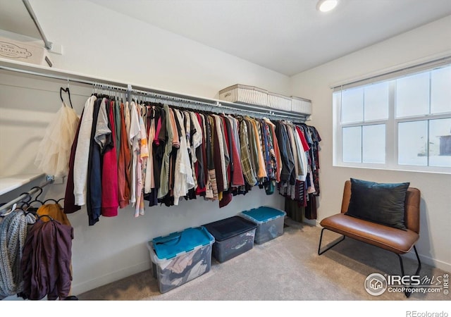 700 Lillibrook Pl, Erie, CO 80026 - spacious closet featuring carpet flooring